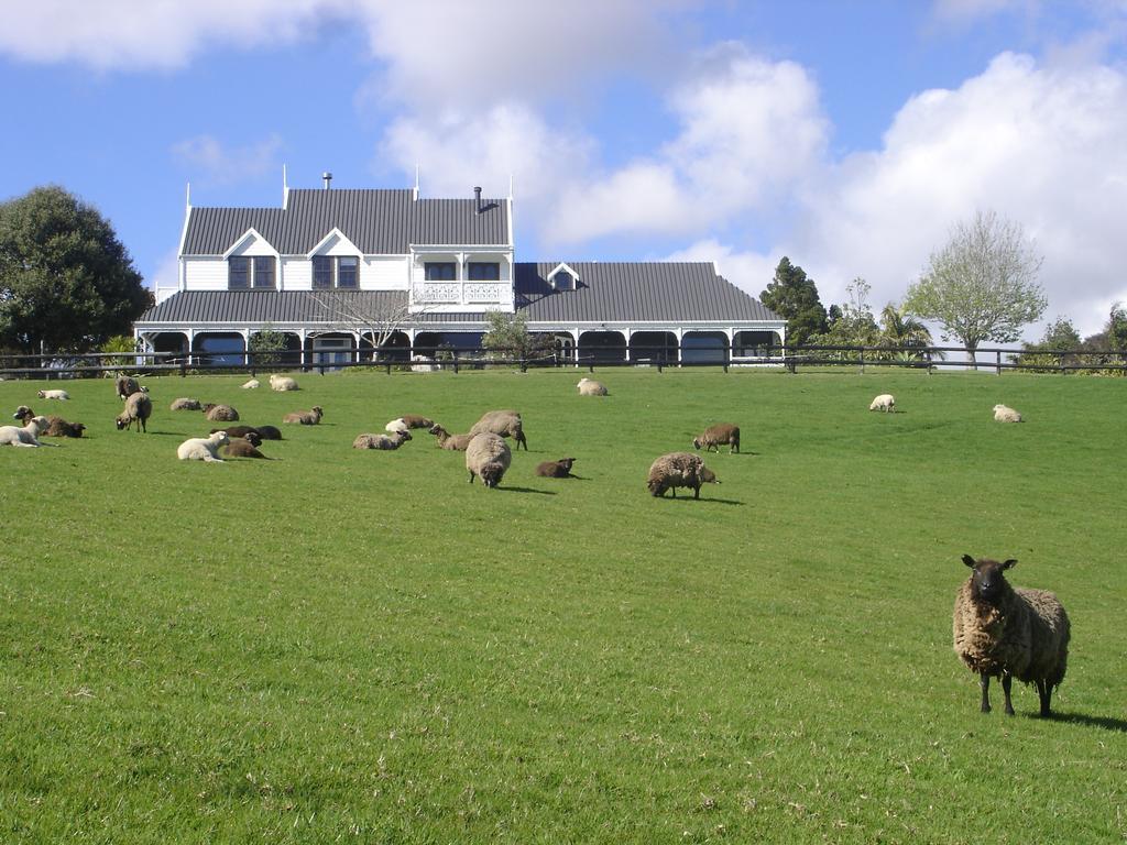 Country Homestead At Black Sheep Farm Waipu Dış mekan fotoğraf